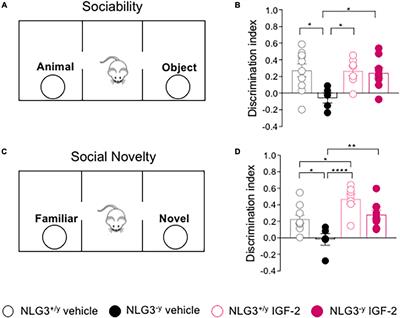 Insulin-like growth factor 2 (IGF-2) rescues social deficits in NLG3–/y mouse model of ASDs